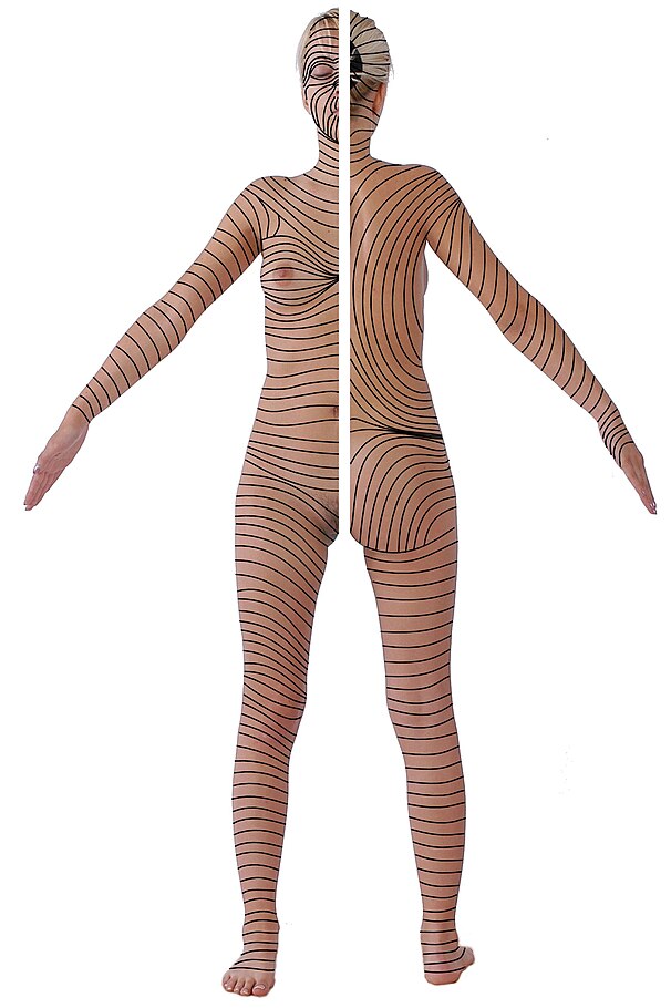 langerlines